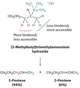 Hofmann elimination mechanism and product distribution