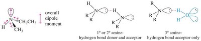 Hydrogen bonding and dipole moment in amines