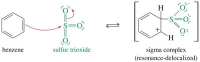 Sigma complex in sulfonation