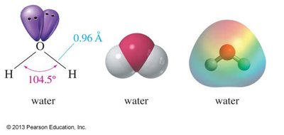 Structure of water