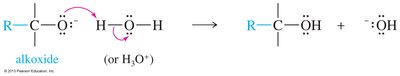 Protonation of alkoxide to alcohol