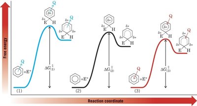 Free-energy profiles for substituent effects