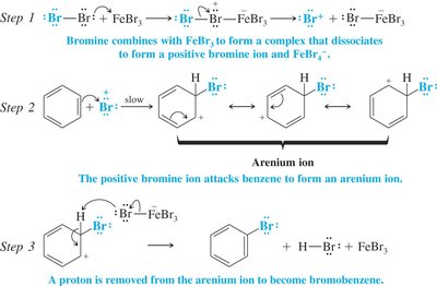 Mechanism of bromination