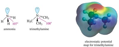 Amine hybridization and geometry