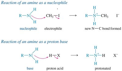 Amines as nucleophiles and bases
