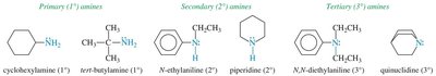 Examples of primary, secondary, and tertiary amines