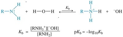 Base dissociation of amines