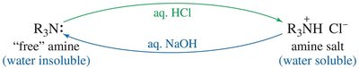 Separation of amines using acid-base properties