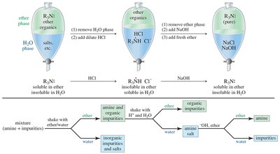 Purification of amines using separatory funnel