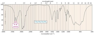 IR spectrum of a primary amine