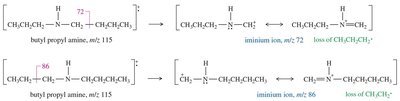 Fragmentation pathways in mass spectrometry