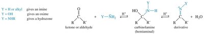 Reaction of amines with ketones and aldehydes