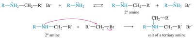 Alkylation of amines by alkyl halides