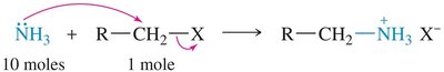 Alkylation with excess ammonia