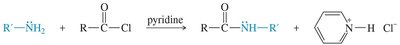 Acylation of amines to form amides