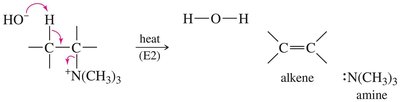 E2 mechanism of Hofmann elimination