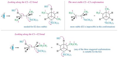 Predicting Hofmann elimination products