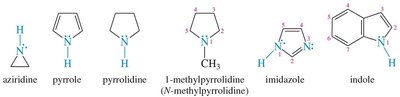 Examples of heterocyclic amines
