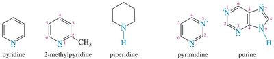 Examples of heterocyclic amines