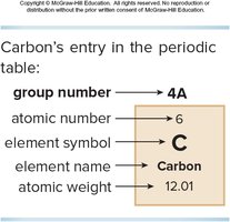 Carbon's entry in the periodic table
