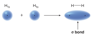 Sigma bond formation