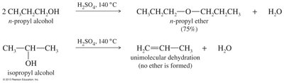 Bimolecular condensation: possible products