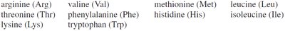 List of essential amino acids
