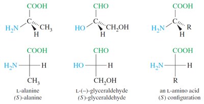 Stereochemistry of amino acids (L and S configuration)