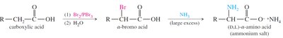 Synthesis of amino acids via bromination and amination