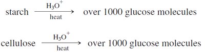 Hydrolysis of starch and cellulose to glucose