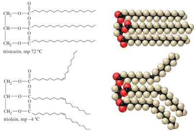 Comparison of saturated and unsaturated triglycerides