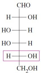 Fischer projection of galactose
