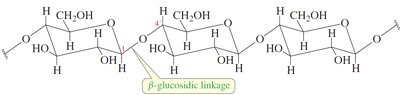 Structure of cellulose with β-glucosidic linkage