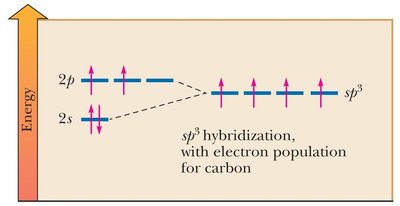 sp3 hybridization diagram for carbon