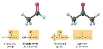 Aldehyde and ketone functional groups and models