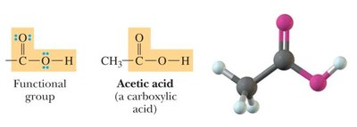 Carboxylic acid functional group and acetic acid model