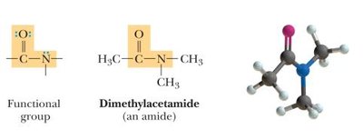 Amide functional group and dimethylacetamide model