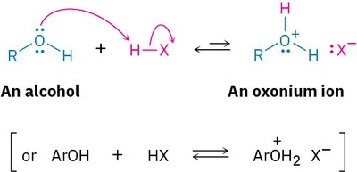 Formation of oxonium ion from alcohol