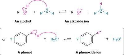 Formation of alkoxide and phenoxide ions