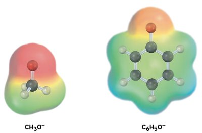 Electrostatic potential maps of methoxide and phenoxide ions