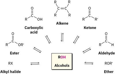 Central position of alcohols in organic synthesis