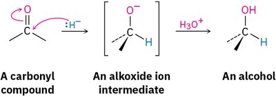 Biological reduction of ketones by NADPH