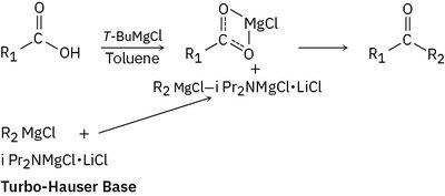 Functional group compatibility with Grignard reagents