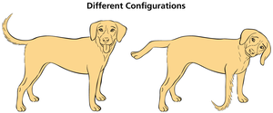 Different configurations illustrated with two dogs