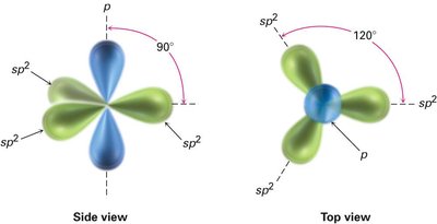 sp2 hybridization: trigonal planar arrangement