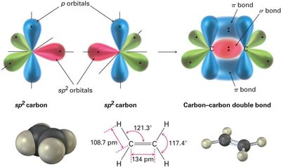 sp2-sp2 sigma and pi bonding in ethylene