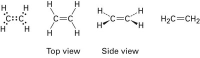 Ethylene Lewis structure and 3D model