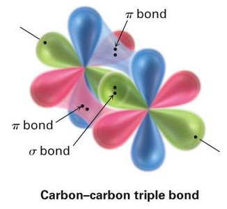 sp3 hybridization in water and methylamine