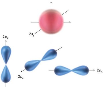 Atomic orbitals of carbon before hybridization