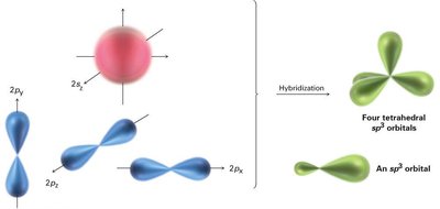 sp3 hybridization: formation of four tetrahedral orbitals